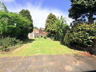 Picture 20